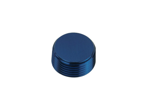 1-npt-korek-adapter-zaslepka-niebieski 1 NPT Hex Allen Key Blanking Plug Bung Blocker Male Fuel Oil Adapter Blue