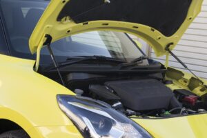 GReddy Carbon Bonnet Struts for Suzuki Swift Sport ZC33S (2017+)