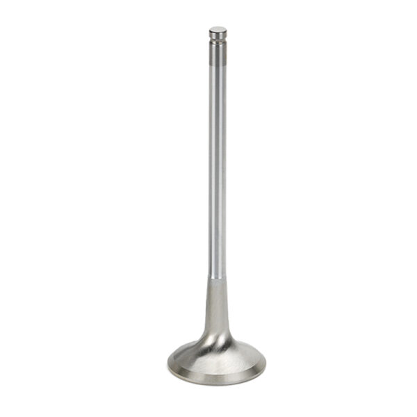 ST-MCEVI-1202-HS Exhaust Valve Sodium Filled SuperTech for Citroen TPH150 / Peugeot Prince EP6 / Mini R56 N14