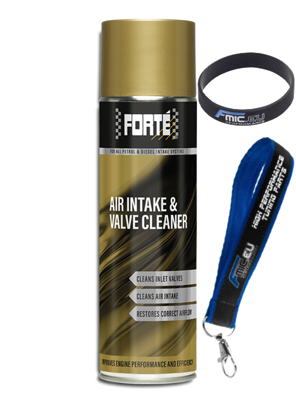 air-intake Forte Air Intake and Valve Cleaner Cleans Nagar Rings and Intake System