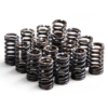 Stiffer Valve Springs RTMG Performance for 1.4 TSI EA111