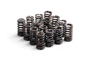 dsc_0172-2_400x Stiffer Valve Springs RTMG Performance for 1.4 TSI EA111