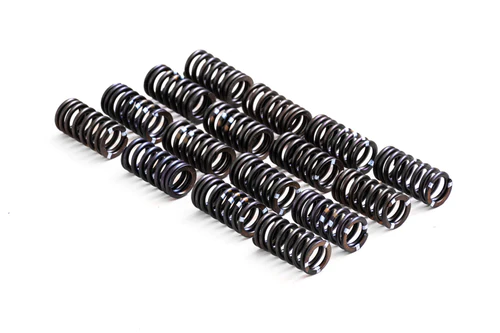Stiffer Valve Springs RTMG Performance for 1.4 TSI EA111
