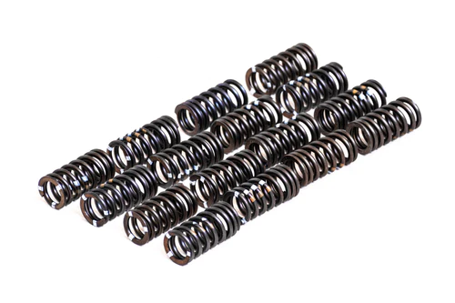 Stiffer Valve Springs RTMG Performance for 1.4 TSI EA111