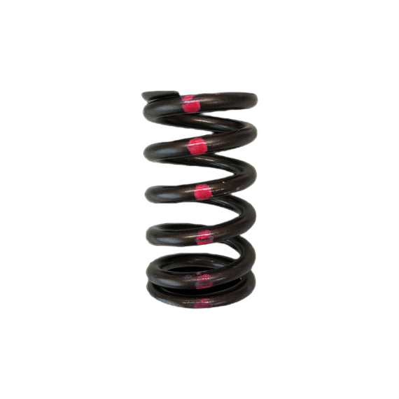 imagephotoaid-removed-background_13 Single Valve Spring BC1200-1 Nissan SR20DE-T - 1 piece