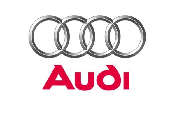 Intercooler Audi S3 225km Blue JRspec Without