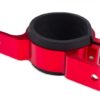 Fuel Pump Mounting Bracket 60MM Red