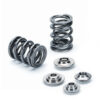 Valve dual springs SuperTech, Mazda Miata/ MX-5 1.6 (49lbs@36.8mm)